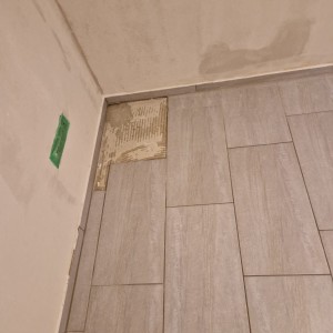 alt_1FarbFlair GmbH - Ihr Partner für Malerarbeiten und Renovationen in Niederlenz
