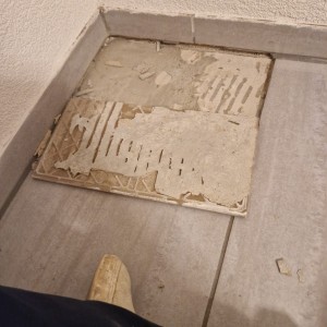 alt_1FarbFlair GmbH - Ihr Partner für Malerarbeiten und Renovationen in Niederlenz